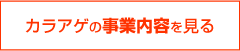 カラアゲの事業内容を見る